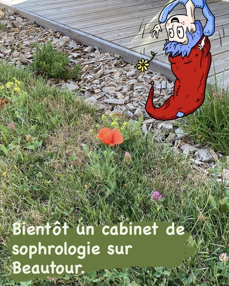 photo d'un coquelicot et kabou
